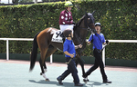 120729ファンタビュラス.jpg